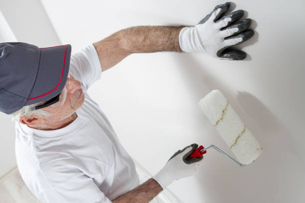 Best Commercial Mold Inspection  in Cutlerville, MI