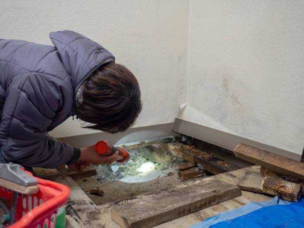 Best Post-Remediation Verification Testing  in Cutlerville, MI