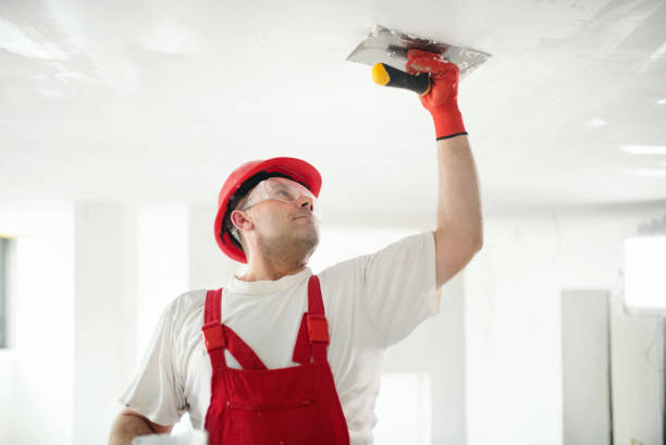 Best Basement Mold Removal  in Cutlerville, MI