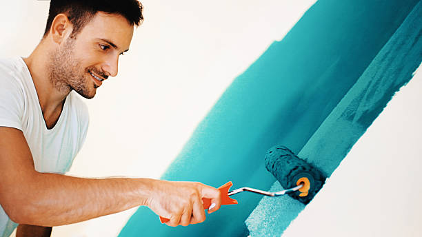 Reliable Cutlerville, MI Mold Removal Solutions