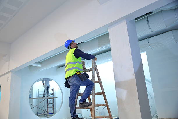 Best Biohazard Mold Removal  in Cutlerville, MI